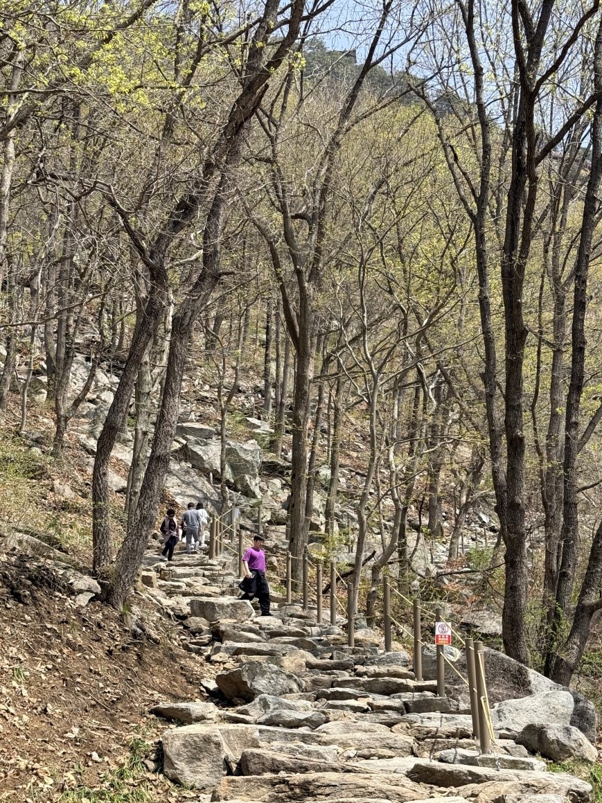 Three hikers ascending wide, well-laid stone steps along the lower section of Yonggwolsan Sky Trail, surrounded by sparse early-spring forest and large boulders with rope railings on the side