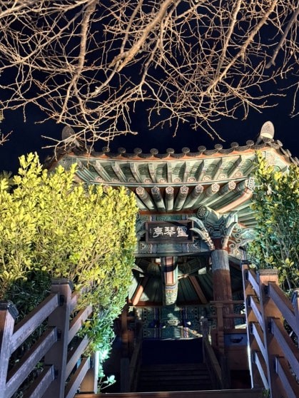 Nighttime view of Yeonggeumjeong pavilion entrance gate — a traditional Korean wooden structure with colorfully painted roof brackets and a carved name plaque, lit from below against a dark sky, bare winter tree branches framing the entrance with wooden stairs on both sides