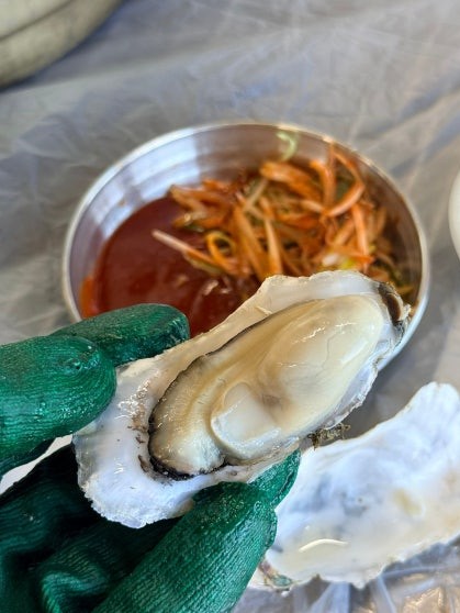 Green-gloved hand holding a freshly opened oyster on the half shell revealing a plump pale oyster, with a stainless steel bowl of julienned green onion and red dipping sauce visible in the background