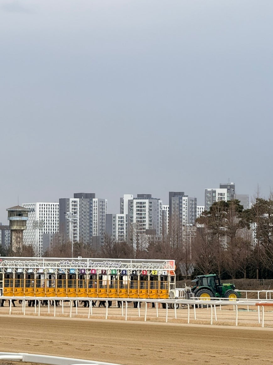 Numbered yellow starting gate at Seoul Racecourse on the dirt track with 11 stalls visible, a green tractor nearby, a large LED scoreboard on the right, and apartment towers in the background