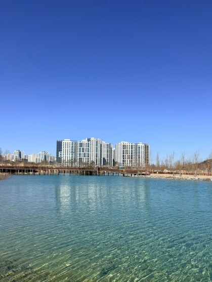 Clear turquoise lake water at Gapcheon Eco Lake Park with a wooden boardwalk extending across the shallow foreground, the calm surface reflecting the sky and high-rise apartment buildings under a bright blue winter sky