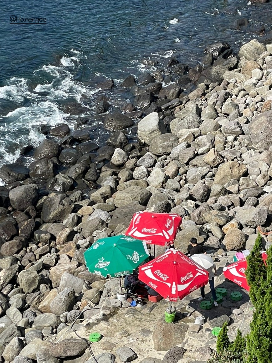 View from above of dark volcanic rock coastline near Jeongbang Falls, red Coca-Cola and green Chilsung-branded beach umbrellas set up among large boulders, two people visible beneath them, waves breaking on the rocks below