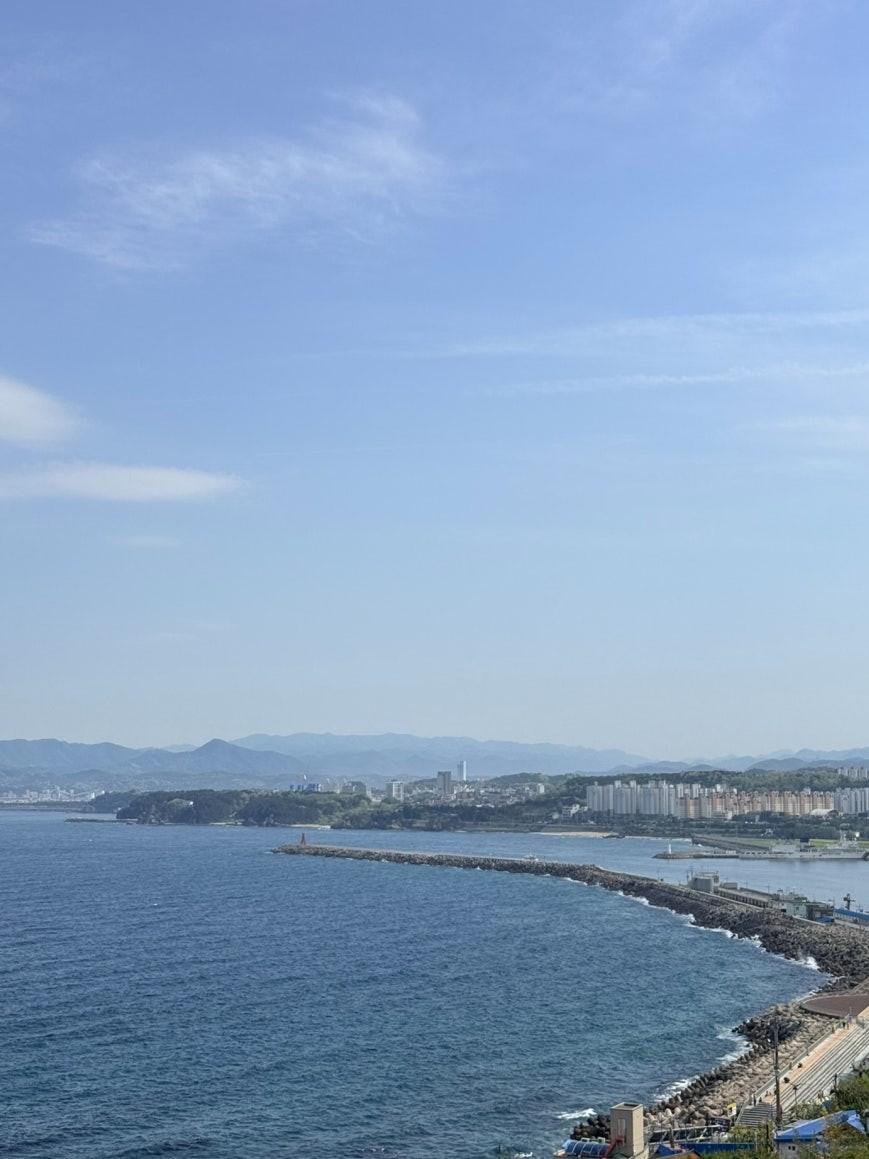 Panoramic view from Dojaebigol Sky Valley top: Donghae coastline with a long stone breakwater, harbor, and apartment towers stretching along the East Sea under a blue sky