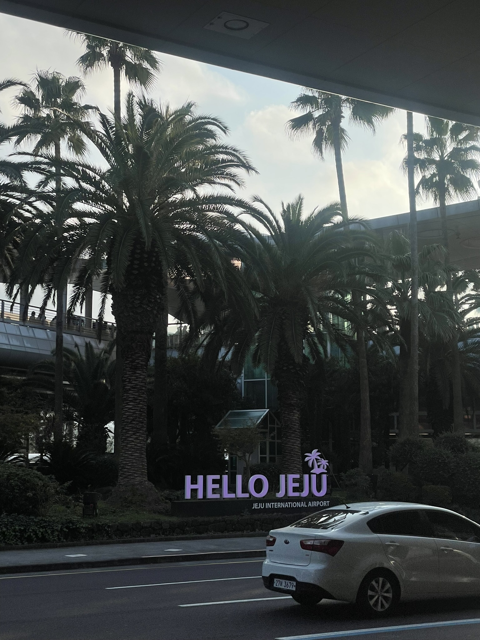 Purple HELLO JEJU welcome sign and Jeju International Airport text at an airport drop-off area, tall palm trees and glass airport building visible behind, a white sedan passing in the foreground