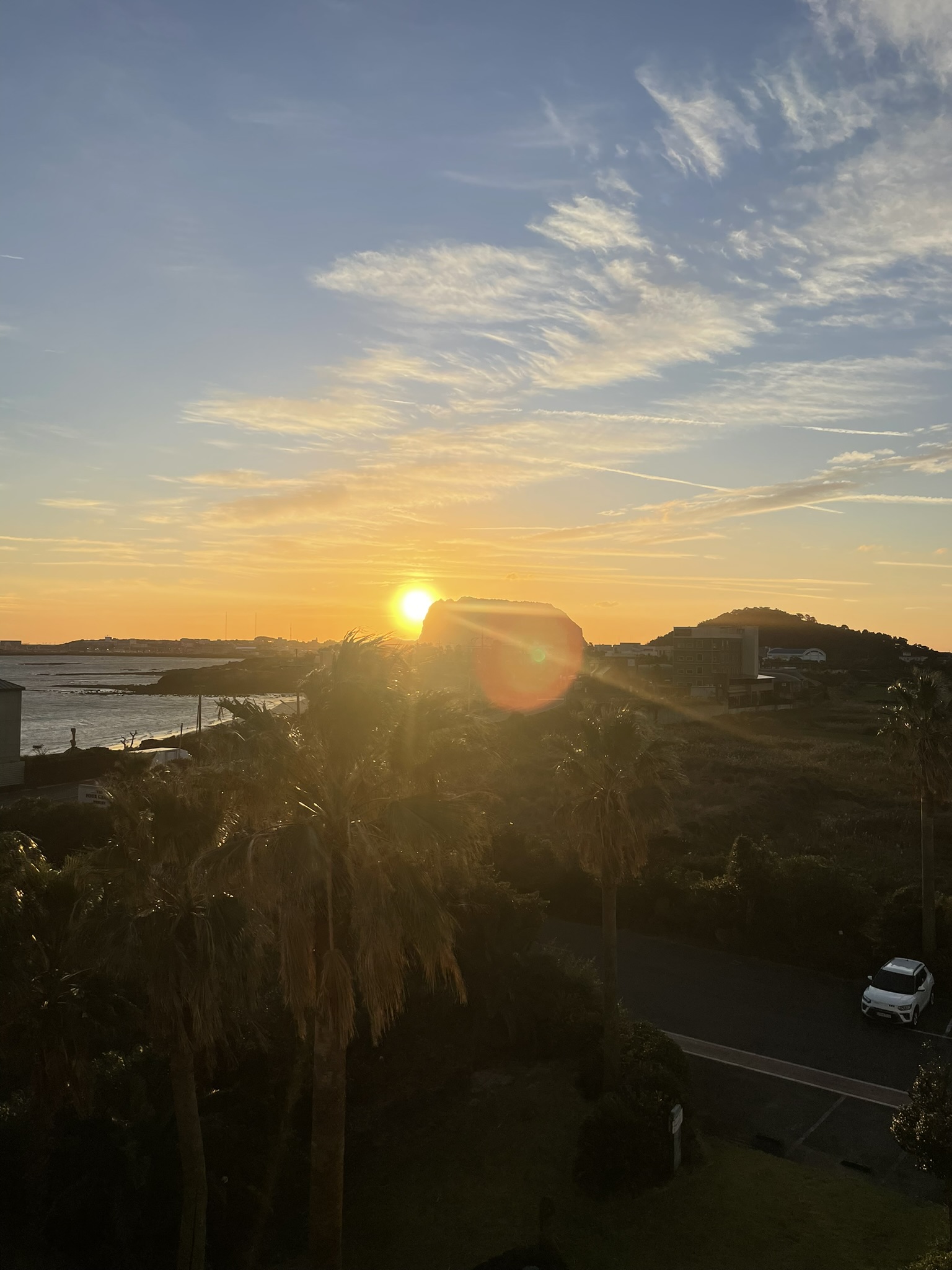 Sun rising behind a rounded coastal volcanic hill in Seogwipo, palm tree silhouettes in the foreground and open sea visible to the left under a wispy golden sky