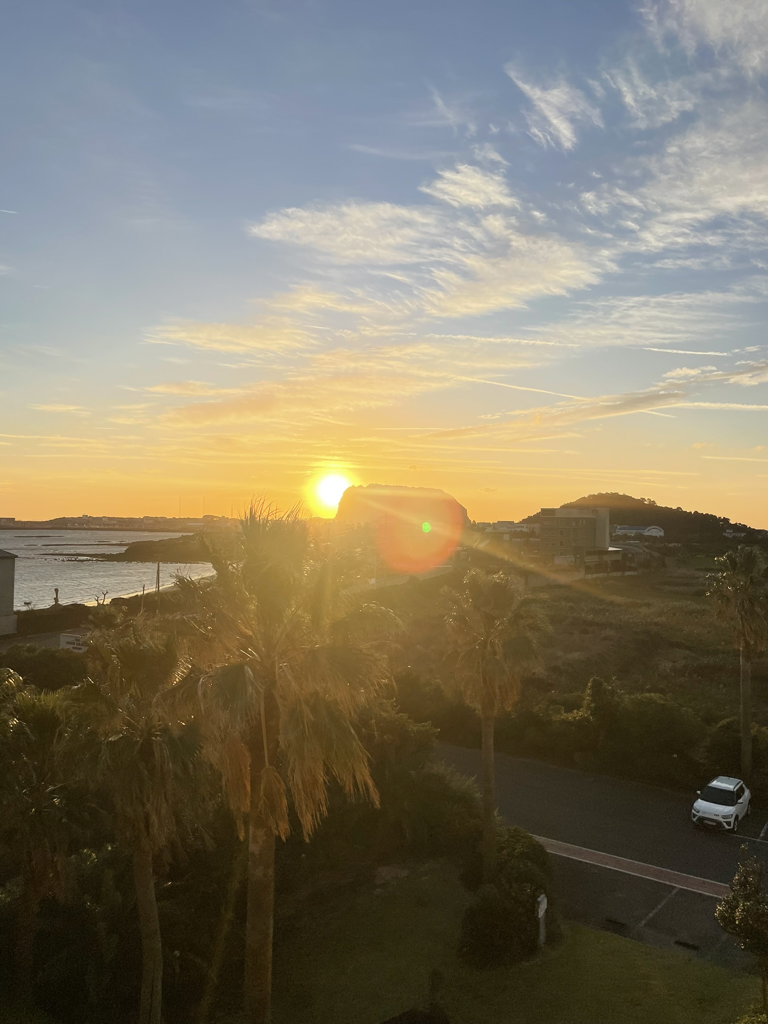 Sunrise over the Seogwipo (서귀포) coastline, palm trees silhouetted in golden orange light in the foreground, a small volcanic islet and low hill visible across calm water, wispy clouds lit by early morning sun