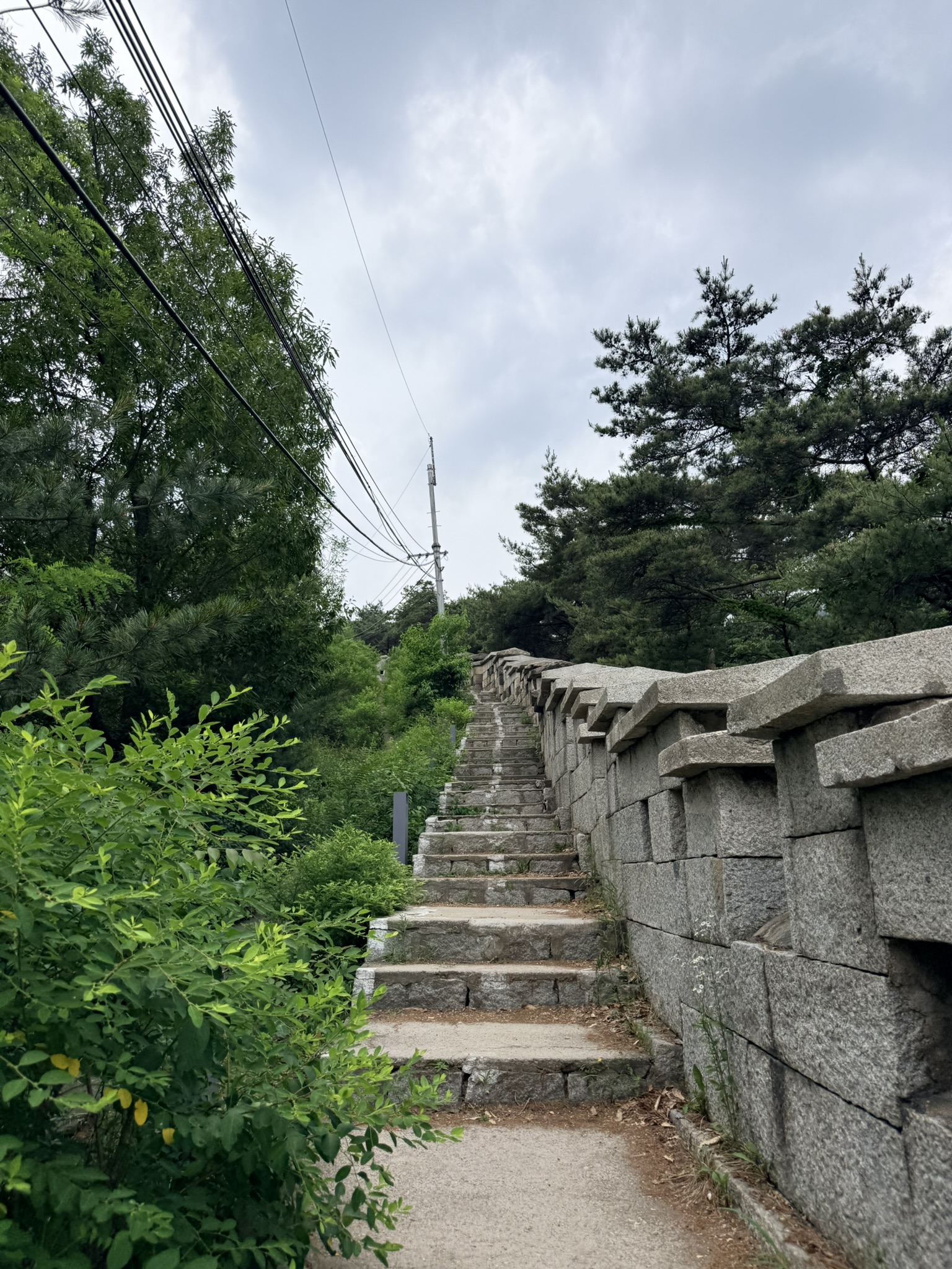 Stone staircase running alongside the Hanyangdoseong granite fortress wall on the lower Inwangsan trail, lush green vegetation on the left and pine trees above under an overcast sky